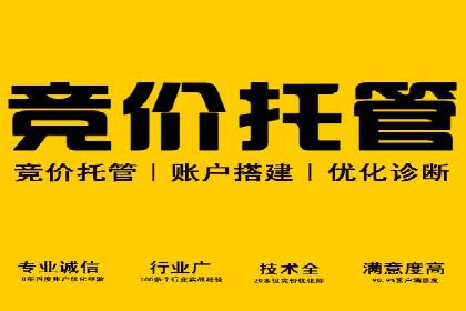 不同预算下的百度推广：案例分析与费用解析